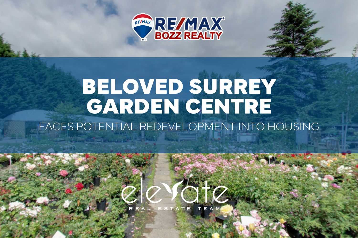 Surrey Garden Centre May Become Housing Site